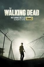 Watch Megashare The Walking Dead Online